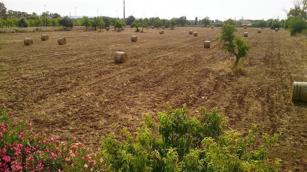 Bed and Breakfast Il Mirto E La Rosa Agrigento Zewnętrze zdjęcie